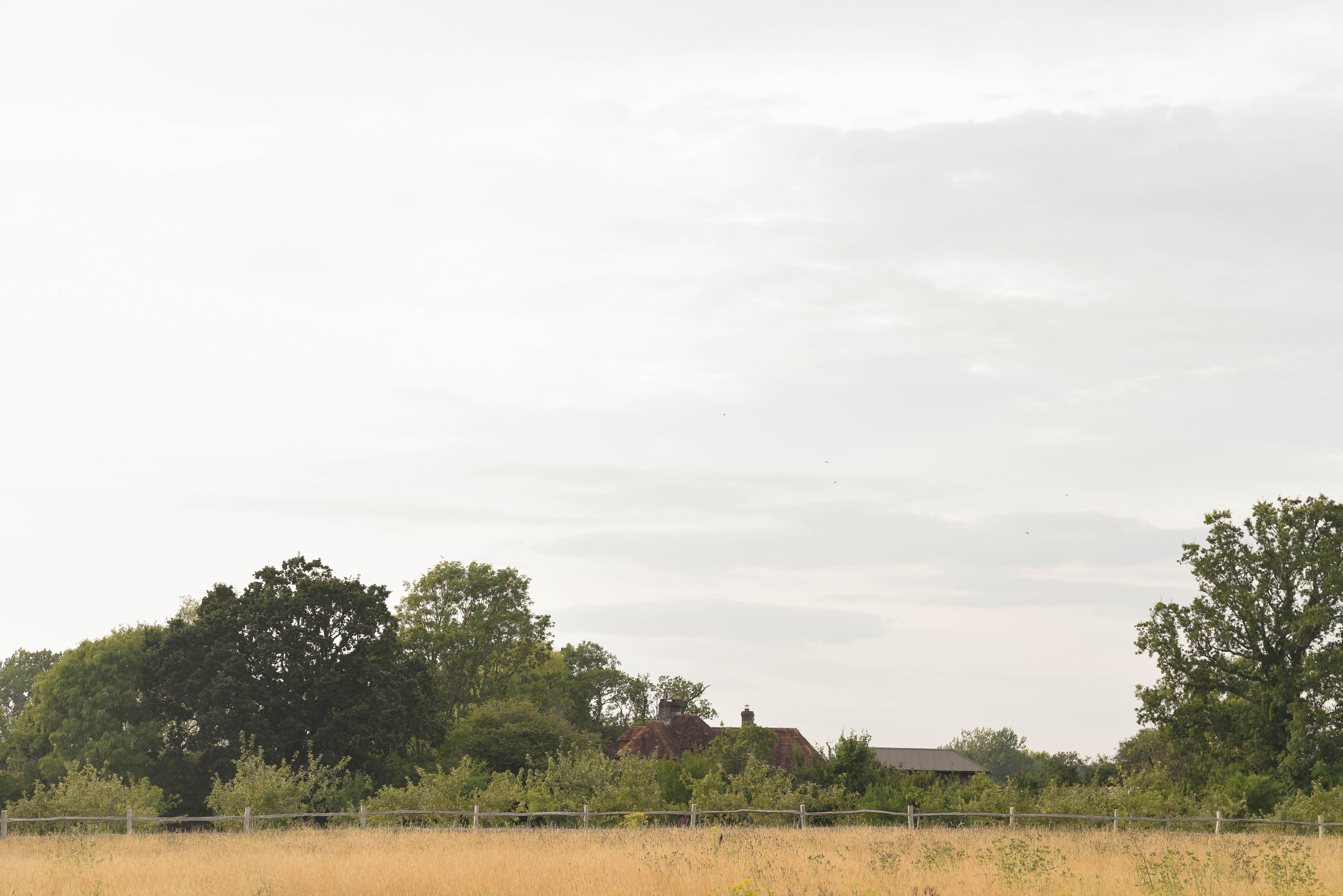College Farm in its wider setting — rooftops behind trees, post-and-rail fencing and wild grass
